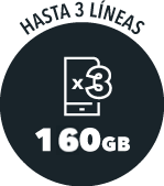 HASTA 3 LÍNEAS 160gb