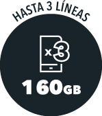 HASTA 3 LÍNEAS 160gb